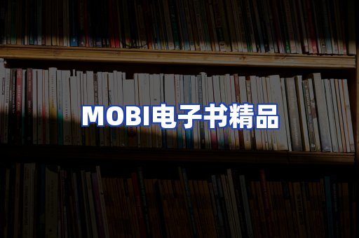 外文电子书产品