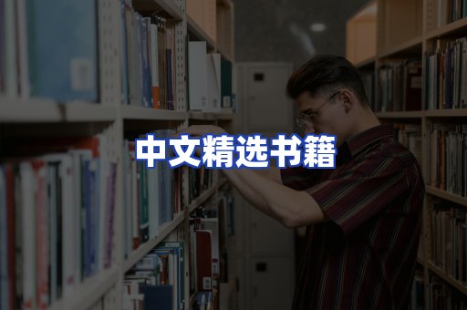 中文精选书籍